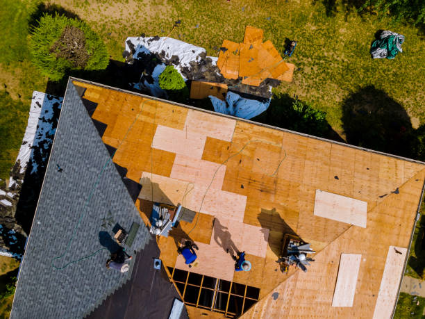 Best Roof Waterproofing Services  in Rantoul, IL