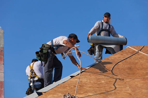Best Roof Restoration Services  in Rantoul, IL