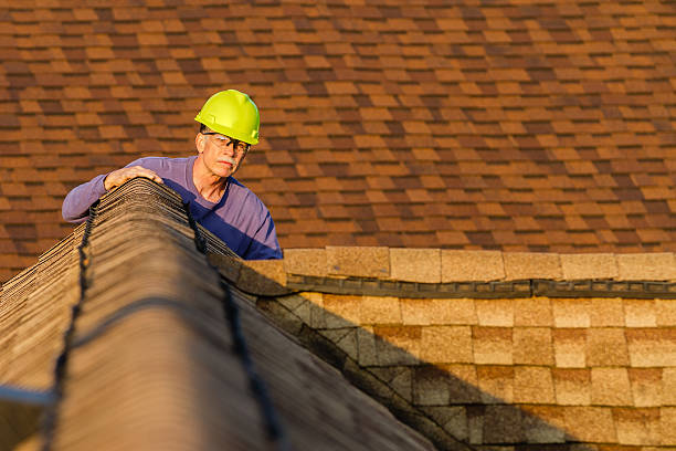 Best Metal Roofing Contractor  in Rantoul, IL