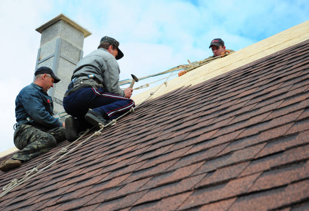 Best Storm Damage Roof Repair  in Rantoul, IL